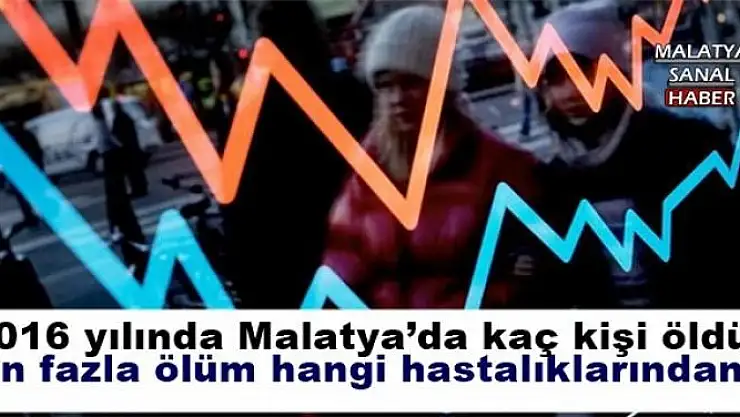 2016 yılında Malatya´da kaç kişi öldü?