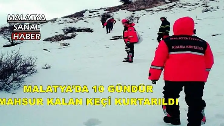 MALATYA´DA 10 GÜNDÜR MAHSUR KALAN KEÇİ KURTARILDI 