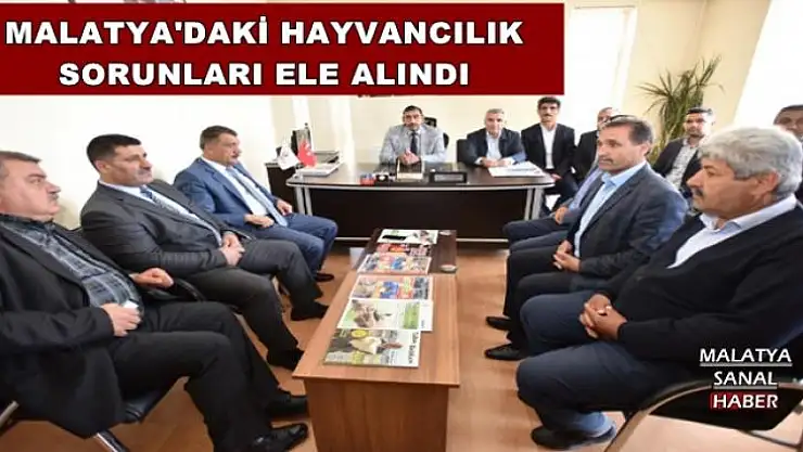 MALATYA'DAKİ HAYVANCILIK SORUNLARI ELE ALINDI