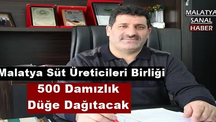 Malatya Süt Üreticileri Birliği 500 Damızlık Düğe Dağıtacak