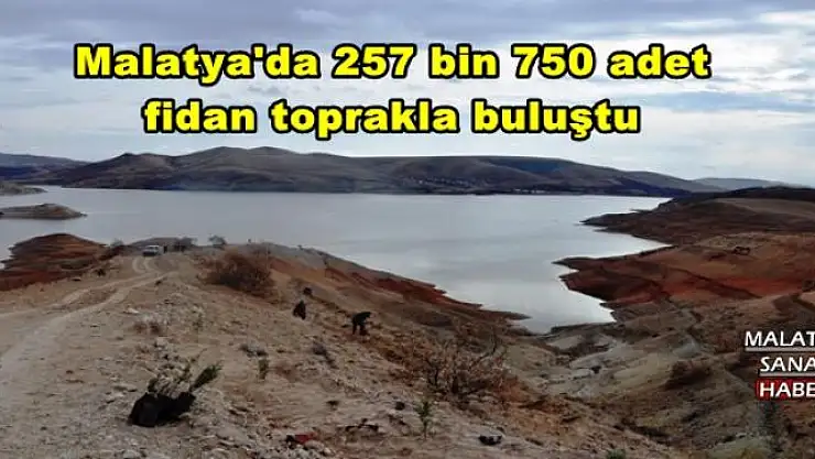 Malatya'da 257 bin 750 adet  fidan toprakla buluştu