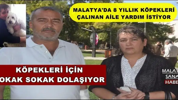 MALATYA'DA 8 YILLIK KÖPEKLERİ ÇALINAN AİLE YARDIM İSTİYOR