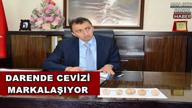 DARENDE CEVİZİ MARKALAŞIYOR
