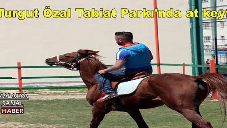 Turgut Özal Tabiat Parkı'nda at keyfi