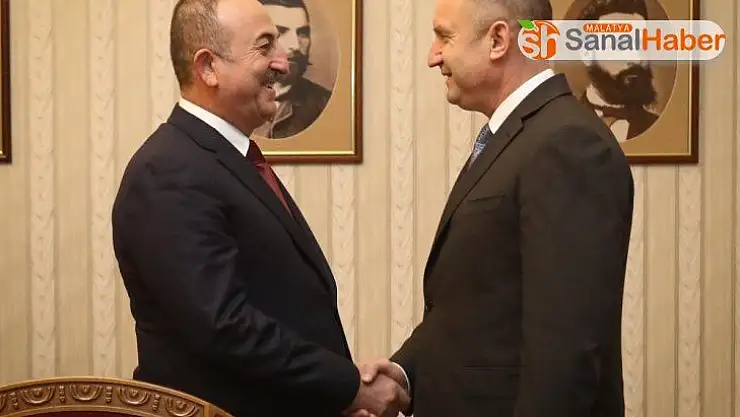 Çavuşoğlu, Bulgaristan Cumhurbaşkanı Radev ile görüştü