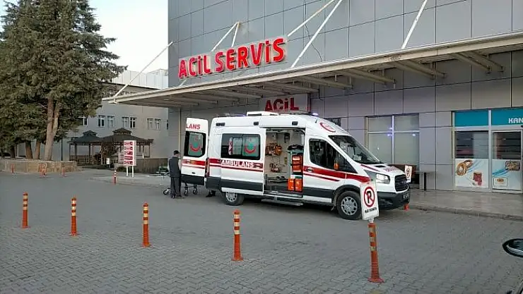 'Ceviz ağacından düşen şahıs ağır yaralandı'