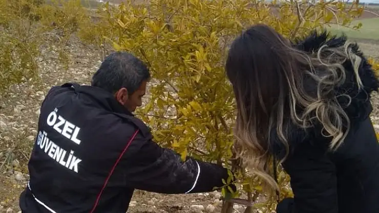 'Çiftçilere budama teknikleri öğretildi'