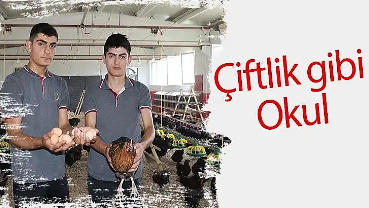 Çiftlik gibi okul