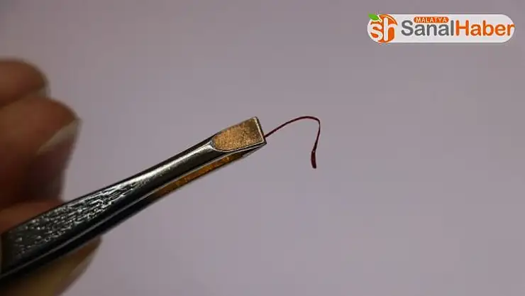 Cımbızla toplayıp, araba fiyatına satılıyor