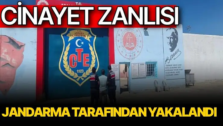 Cinayet zanlısı jandarma tarafından yakalandı