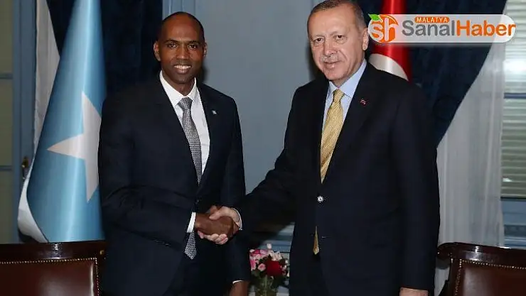 Cumhurbaşkanı Erdoğan, Somali Başbakanı Hayri'yi kabul etti