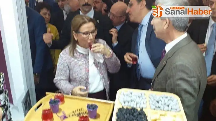 Cumhurbaşkanı Yardımcısı Oktay ve Bakan Pekcan'dan Arapgir standına ziyaret