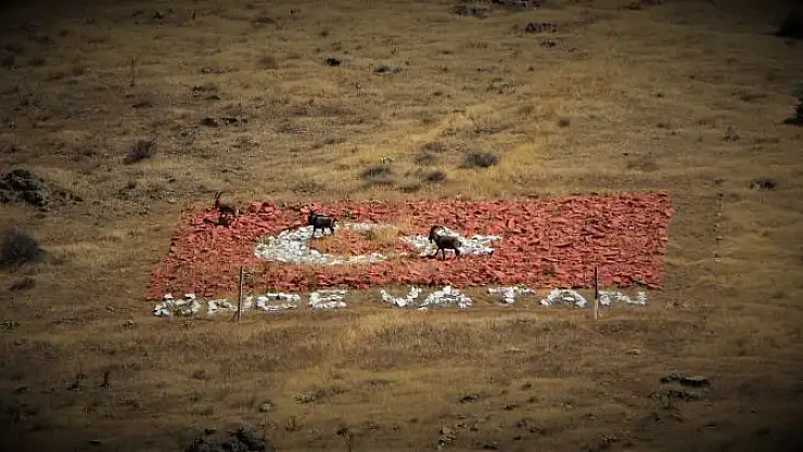 'Dağ keçilerini gören sürücüden güldüren seslenme'
