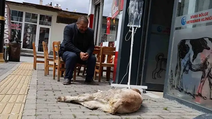 'Dana Umutun sahibinin merhameti görenlerin içini ısıttı'