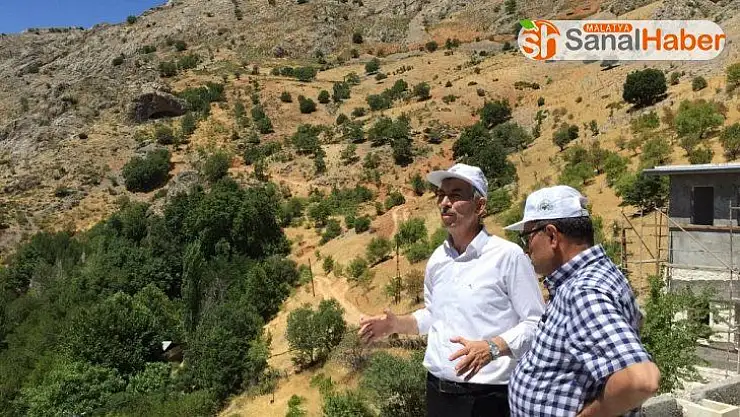 DAP Başkanından Arapgir'de inceleme