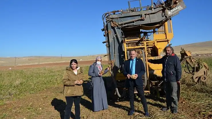 'Darende´de pancarda yüksek rekolte sevinci'