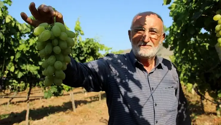 'Denemek için ekti, günde 1 ton ürün alıyor'
