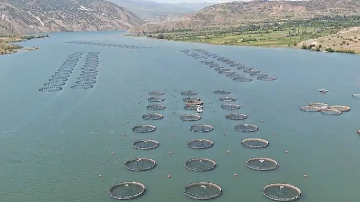 'Denize kıyısı olmayan Sivas´tan dünyaya somon ihracatı'