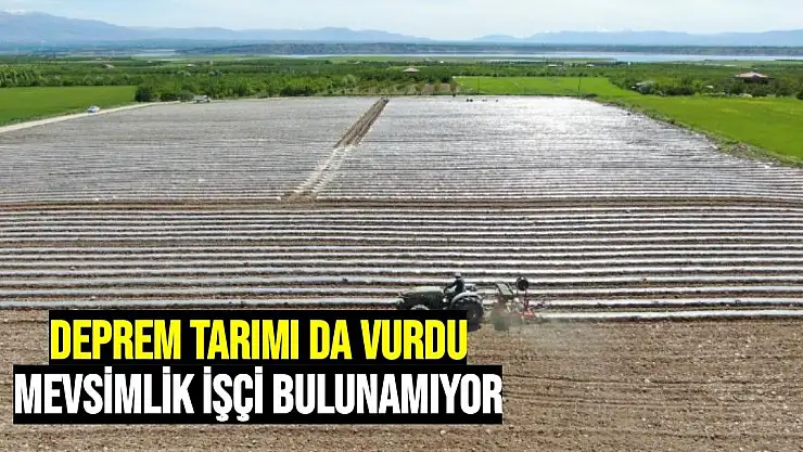Deprem tarımı da vurdu, mevsimlik işçi bulunamıyor