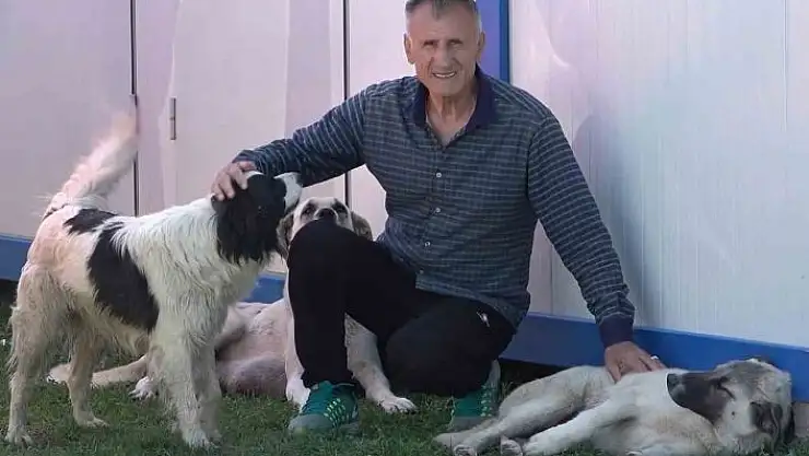 'Depremzede, sokak köpeklerinin gönüllü bakıcısı oldu'