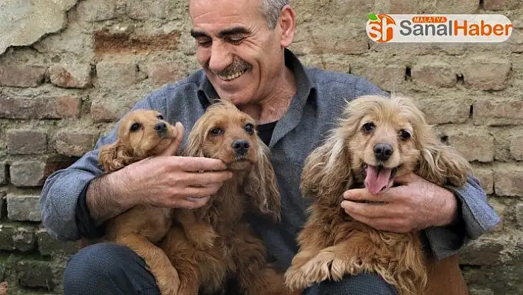 Depremzedenin köpek sevgisi, onlardan ayrılamıyor