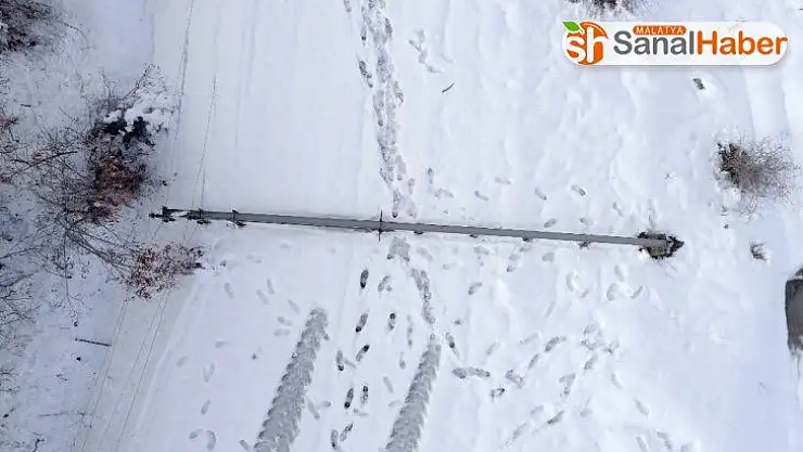 Devrilen direkler kaldırıldı, köye  5 gün sonra elektrik verildi