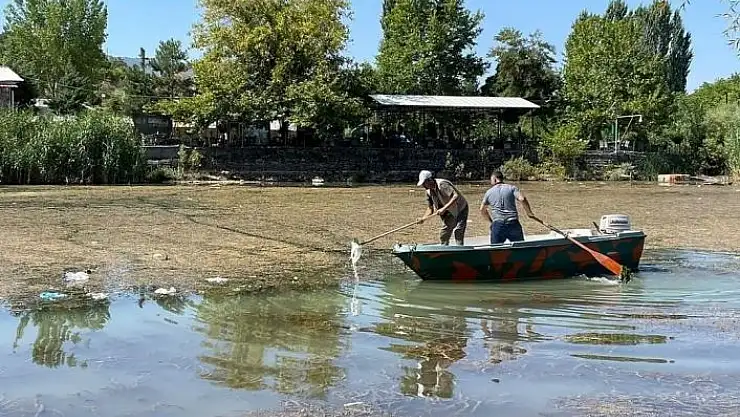 'Doğa koruma ekipleri çöpleri temizliyor'