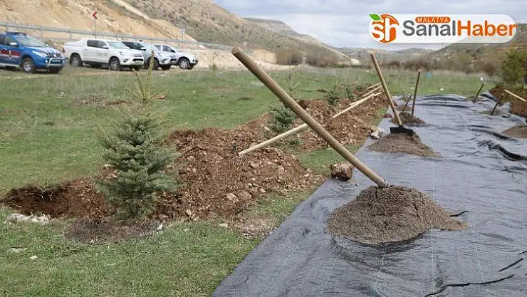 Doğan her bebek  için bir fidan dikilecek