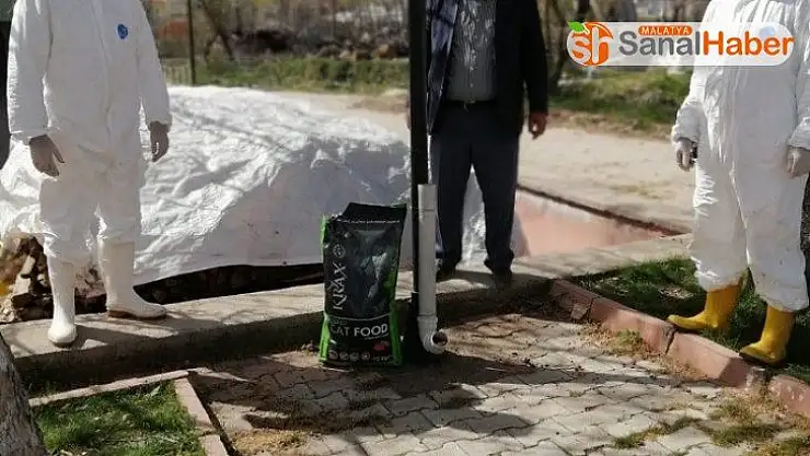 Doğanşehir'de  sokak hayvanları unutulmadı