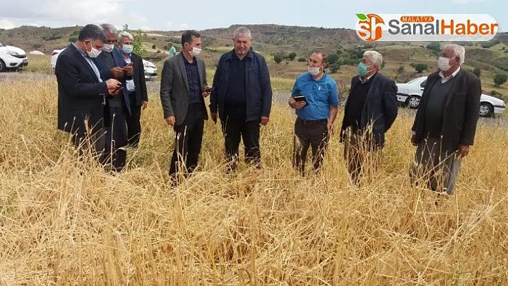 Dolu sonrası hasar tespit çalışmaları başladı