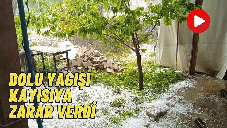Dolu yağışı kayısıya zarar verdi