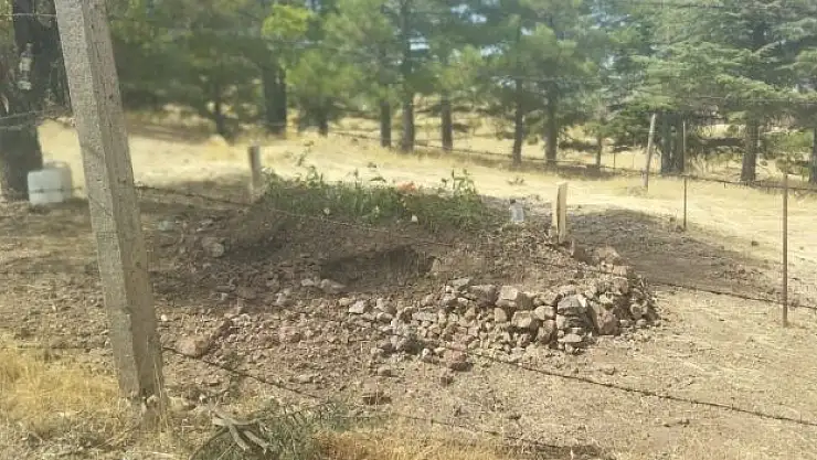 'Domuzların talanı bitmedi: Bu defa mezarlıklara dadandılar'