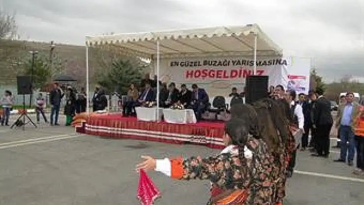 En Güzel Buzağılar Seçildi.