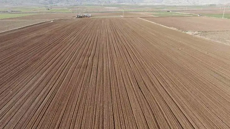'Dubaiye gönderilmek üzere Sivasta toprakla buluşturuldular'