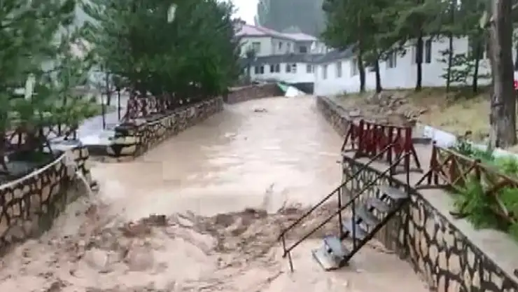 'Dünyaca ünlü Doktor Balıklar sele teslim oldu'