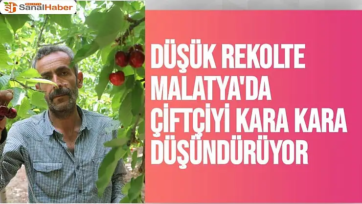 Düşük rekolte Malatya'da çiftçiyi kara kara düşündürüyor