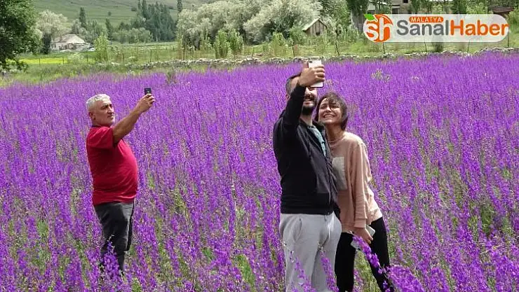 Duyan fotoğraf çektirmek için akın etti