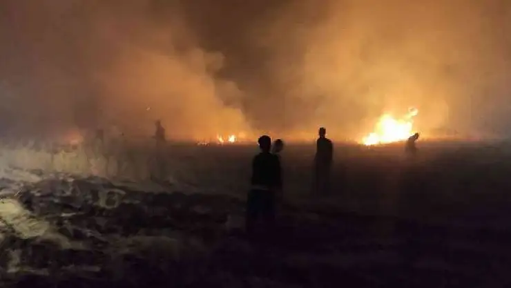 'Ekili alanda korkutan yangın'