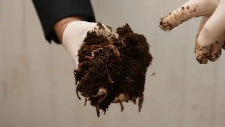 'Ekonomiye katkı çevreye fayda sağlıyor, 100 ton gübre üretiliyor'