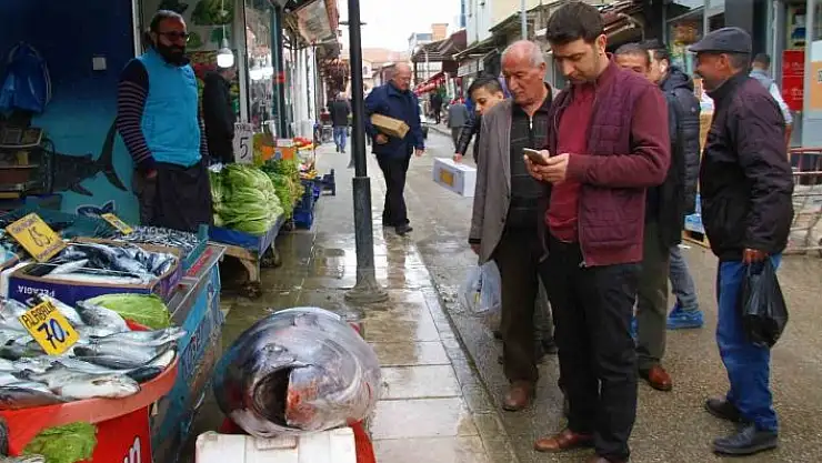 'Elazığ´da 164 kiloluk dev orkinosu görenler cep telefonlarına sarıldı'
