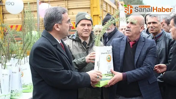 Elazığ'da 2 bin 20 adet fidan dağıtıldı