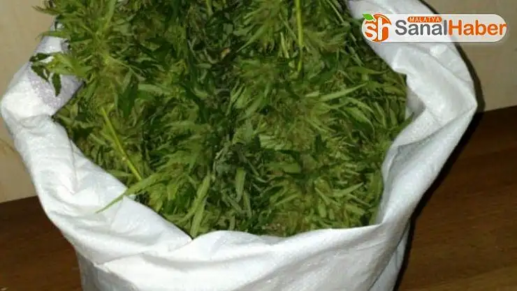 Elazığ'da 4 kilo esrar ele geçirildi, 1 şüpheli yakalandı