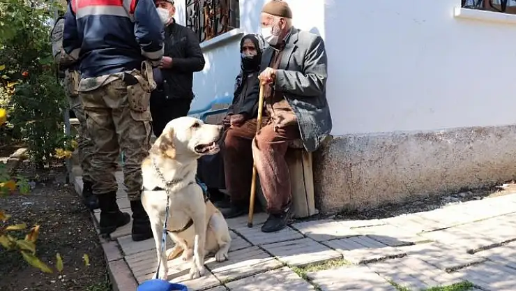 'Elazığ´da 83 yaşındaki kayıp kadını iz takip köpeği ''Dost'' buldu'