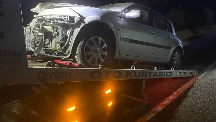 'Elazığ´da araç domuz sürüsüne çarptı: 2 yaralı'
