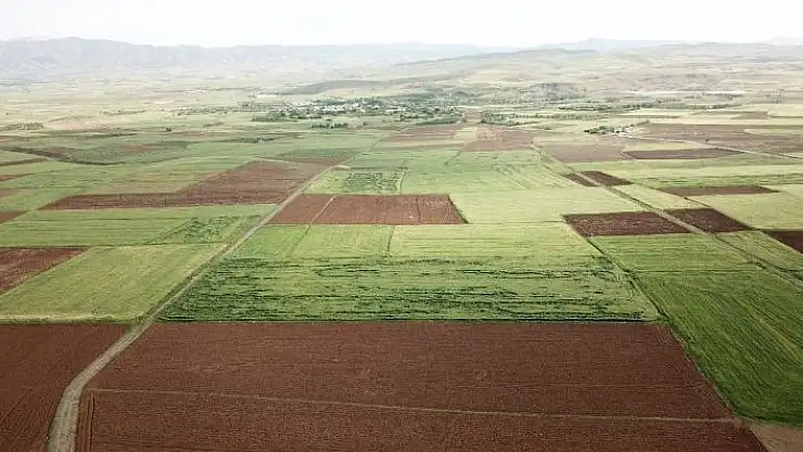 'Elazığ´da arazi toplulaştırma çalışmaları sürüyor'