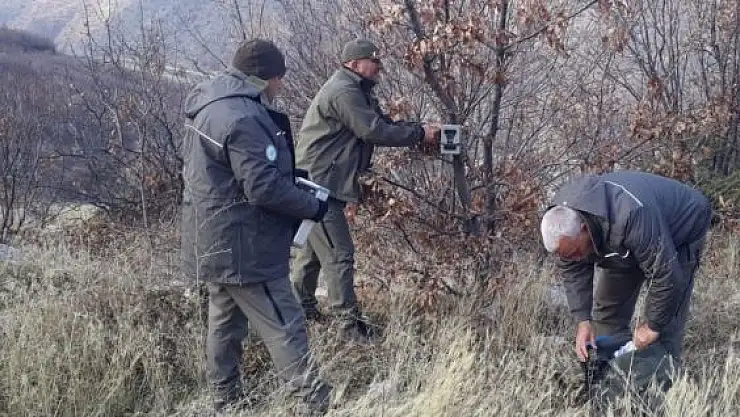 'Elazığ´da fotokapanların bakımları yapıldı'