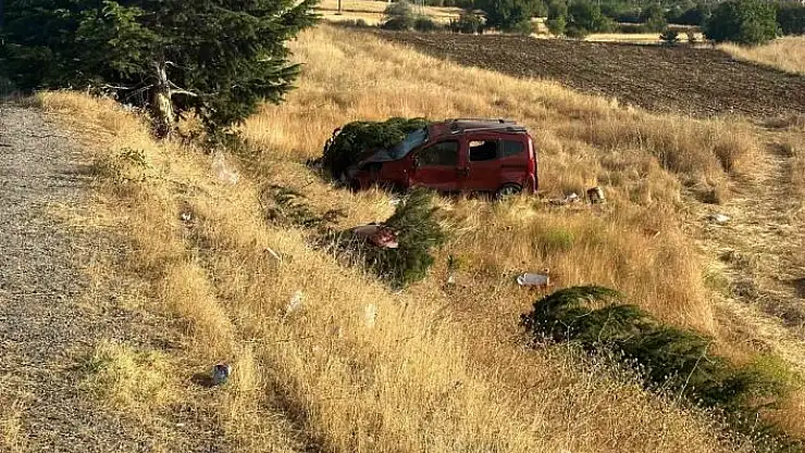 'Elazığ´da hafif ticari araç şarampole uçtu: 1 ölü, 4  yaralı'