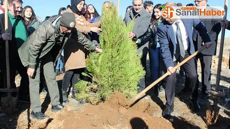 Elazığ'da Hayrettin Karaca anısına 200 fidan dikildi
