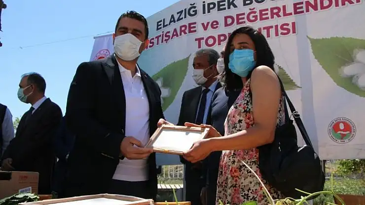 'Elazığ´da ipek böcekçiliği yeniden canlanıyor'