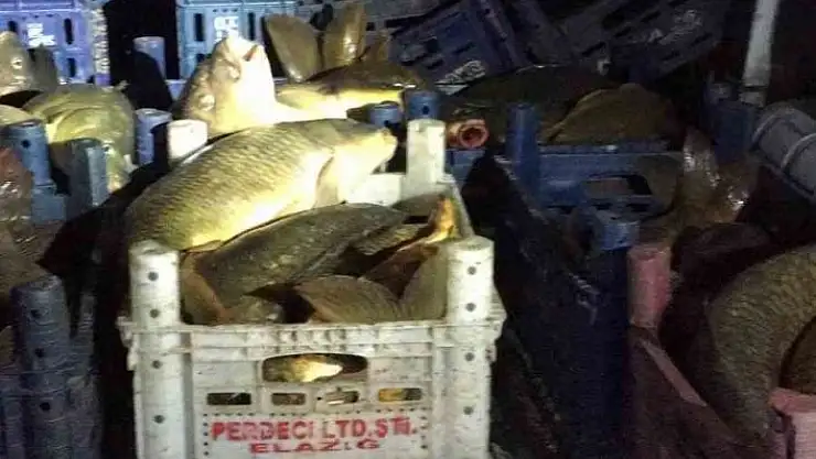 'Elazığ´da kaçak avcıya 16 bin lira para cezası uygulandı'